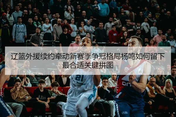 辽篮外援续约牵动新赛季争冠格局杨鸣如何留下最合适关键拼图